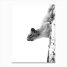 Curious Squirrel Black and White Minimalist Art Print Boho Canvas Print