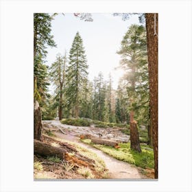 National Parks Yosemite Canvas Print