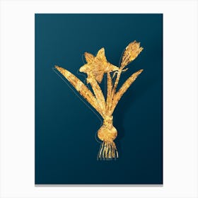 Vintage Hippeastrum Botanical in Gold on Teal Blue n.0343 Canvas Print