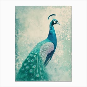 Peacock Vintage Cyanotype Portrait Inspired Turquoise 2 Canvas Print