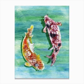 Koi Fish painted by Paoling Rees Canvas Print