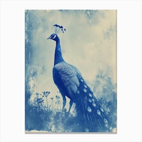 Peacock In The Wild Cyanotype Inspired 5 Canvas Print