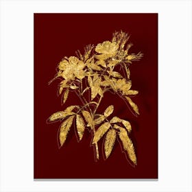 Vintage Pink Swamp Roses Botanical in Gold on Red n.0570 Canvas Print