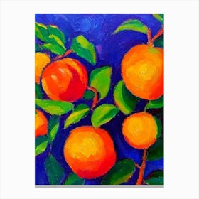 Clementine Fruit Vibrant Matisse Inspired Painting Fruit Canvas Print