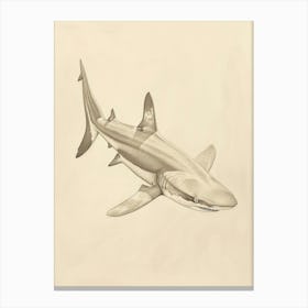 Phoebefy A Pencil Crayon Drawing Of A Shark Centred 1970prese 2195bb1a Fbb7 4268 9d5c 8ad9e61ce27a 1 Canvas Print