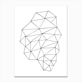 Freehand Geometric Line Drawing Canvas Print