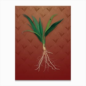 Vintage Date Palm Tree Botanical on Falu Red Pattern n.2491 Canvas Print