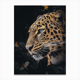 Leopard In The Jungle Canvas Print