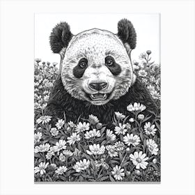 Giant Panda Cub Ink Illustration A Field Of Flowers Ink Illustration 2 Canvas Print