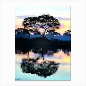 Brazil, Pantanal, Cocao Tree Canvas Print