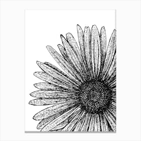 Black and White Daisy Flower Illustration Artwork Stampe su tela