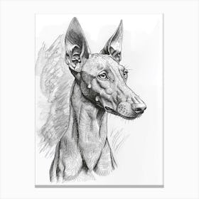 Ibizan Hound Dog Line Sketch  4 Canvas Print