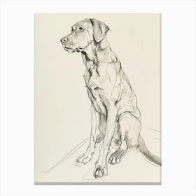 Chesapeake Bay Retriever Dog Charcoal Line 1 Canvas Print