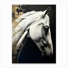 White Horse Canvas Print