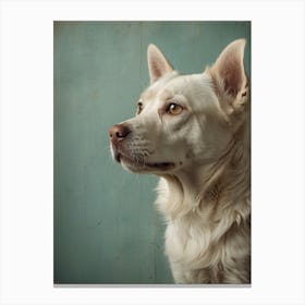 Default Wall Images Of Pets With Faint Colors 0 Canvas Print