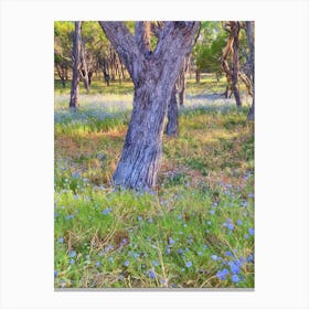 Rottnest Meadow Canvas Print