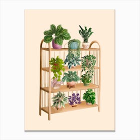 Plant Shelf 7 Canvas Print