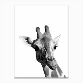 Monochrome Giraffe Canvas Print