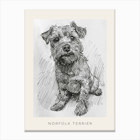 Norfolk Terrier Dog Line Sketch 1 Poster Canvas Print