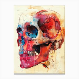 Skull anatomy biology art Canvas Print