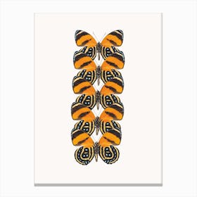 Butterflies VII Canvas Print
