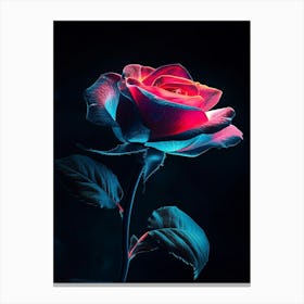 Rose In The Dark Canvas Print