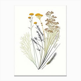 Caraway Spices And Herbs Minimal Line Drawing 5 Canvas Print