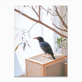 Bird On A Wooden Box Canvas Print