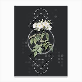 Vintage Musk Rose Botanical with Geometric Line Motif and Dot Pattern n.0394 Canvas Print