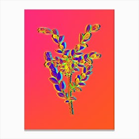 Neon Creeping Willow Botanical in Hot Pink and Electric Blue n.0585 Canvas Print