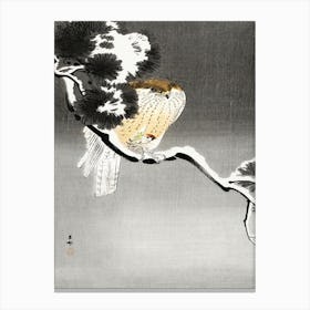 Hawk With Sparrow (1900 1930), Ohara Koson Canvas Print