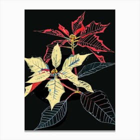 Neon Flowers On Black Poinsettia 1 Canvas Print