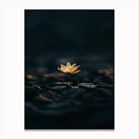 Lotus Flower 54 Canvas Print