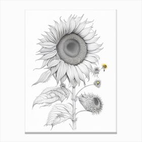 Sunflower Floral Quentin Blake Inspired Illustration 2 Flower Canvas Print