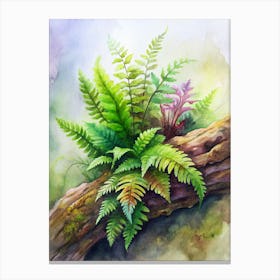 2 Exotic Tropical Ferns Growing On Mossy Logs (1) Canvas Print