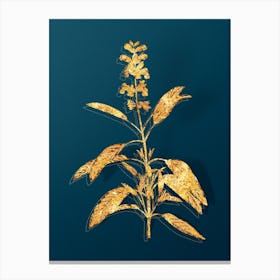 Vintage Sage Plant Botanical in Gold on Teal Blue n.0020 Canvas Print