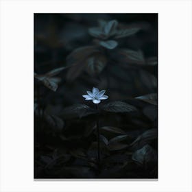 Flower In The Dark 2 Canvas Print