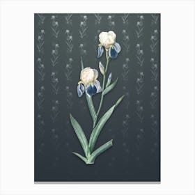 Vintage Elder Scented Iris Botanical on Slate Gray Pattern n.0304 Canvas Print