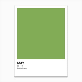 May Birth Month Colour Green Canvas Print
