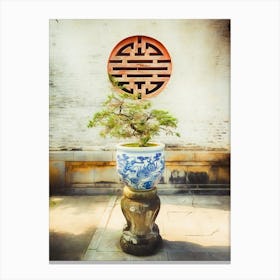 Bonsai Tree In Decorative Pot Hue Vietnam Canvas Print