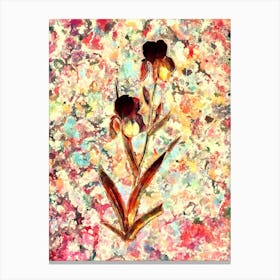 Impressionist Elder Scented Iris Botanical Painting in Blush Pink and Gold n.0002 Canvas Print