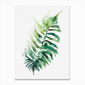 Walking Fern Watercolour Canvas Print