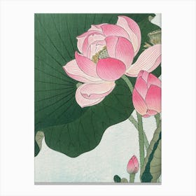 Lotus Flower 22 Canvas Print