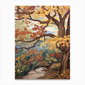 American Sycamore 1 Vintage Autumn Tree Print  Canvas Print