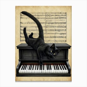 Black Cat On Piano Canvas Print