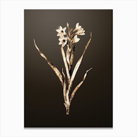 Gold Botanical Sword Lily on Chocolate Brown n.4138 Canvas Print