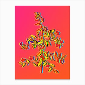 Neon Goji Berry Branch Botanical in Hot Pink and Electric Blue n.0610 Canvas Print