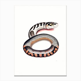 Speckled Kingsnake 1 Vintage Canvas Print