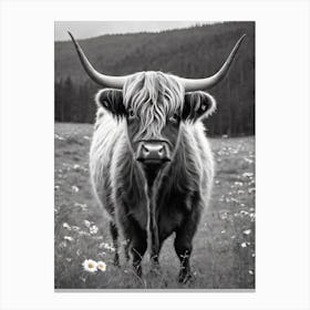 Highland Cow 8 Canvas Print