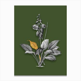 Vintage Daylily Black and White Gold Leaf Floral Art on Olive Green n.0629 Canvas Print